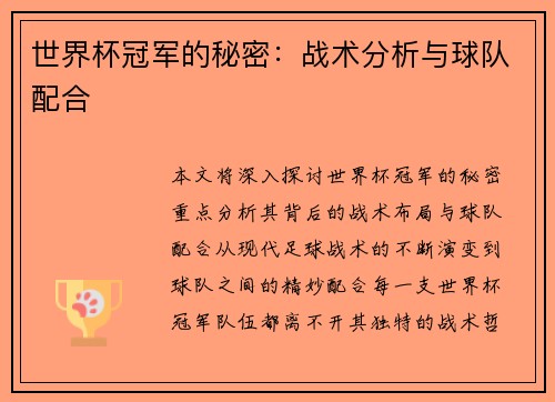 世界杯冠军的秘密：战术分析与球队配合