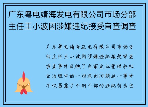 广东粤电靖海发电有限公司市场分部主任王小波因涉嫌违纪接受审查调查