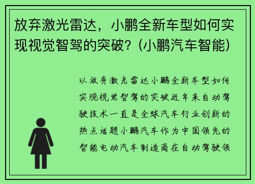 放弃激光雷达，小鹏全新车型如何实现视觉智驾的突破？(小鹏汽车智能)